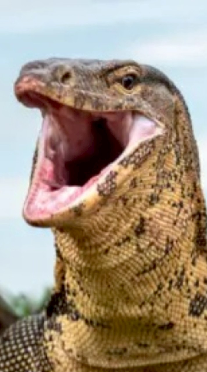 คนสวย/4