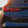 CRV6 本田家族 HONDA VIP CLUB