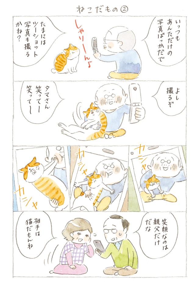 嗚呼 じいちゃんが大好きな猫とツーショットを撮ろうとした結果は ねことじいちゃん 第66回