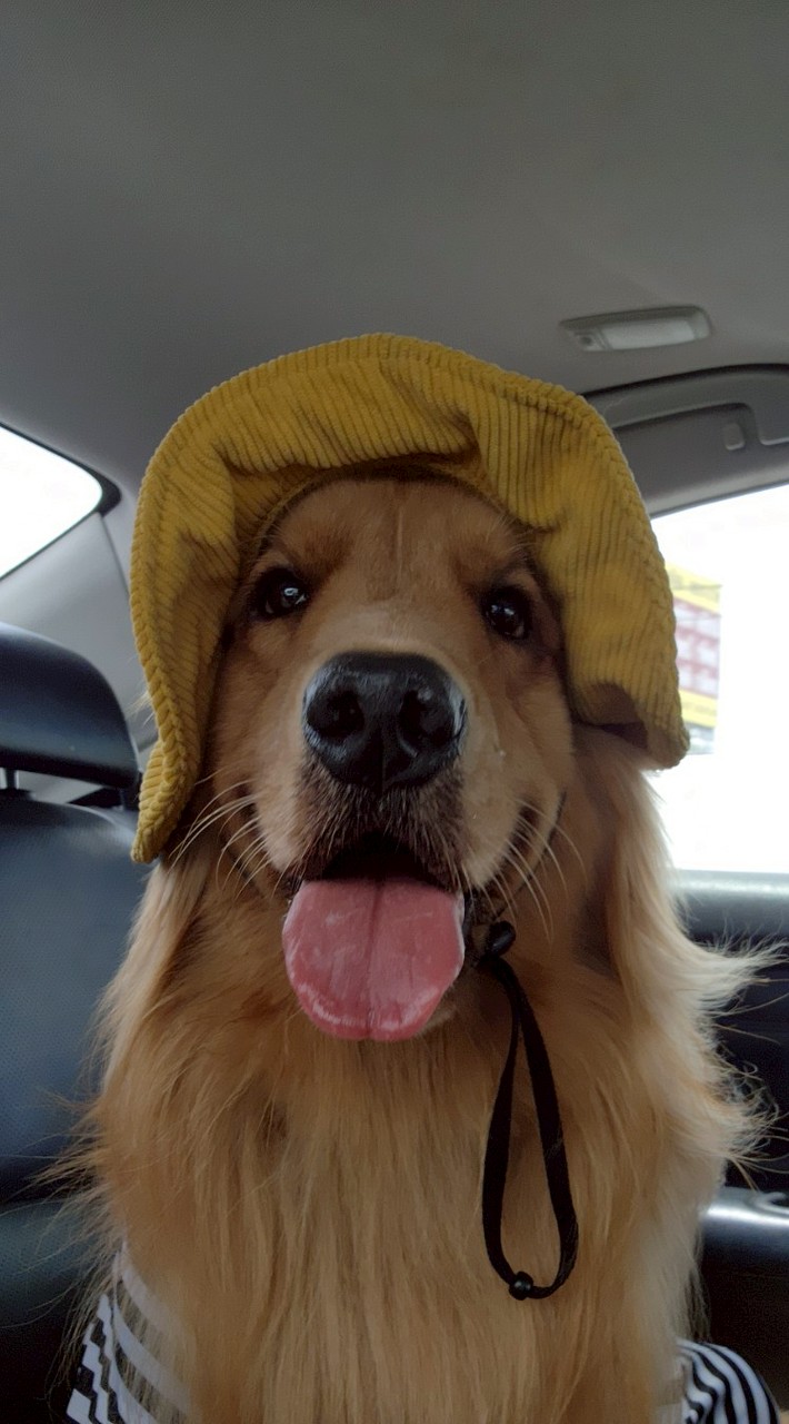 Noah mydog sharing ❤️😊🥋🎽🤿🪁🪃🥏🏹🎯⛳🛹⚽⚾🥎🏀🏐🏈🧶🪇🥁