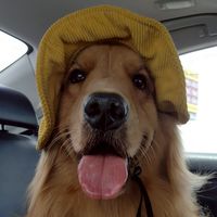 Noah mydog sharing ❤️😊🥋🎽🤿🪁🪃🥏🏹🎯⛳🛹⚽⚾🥎🏀🏐🏈🧶🪇🥁