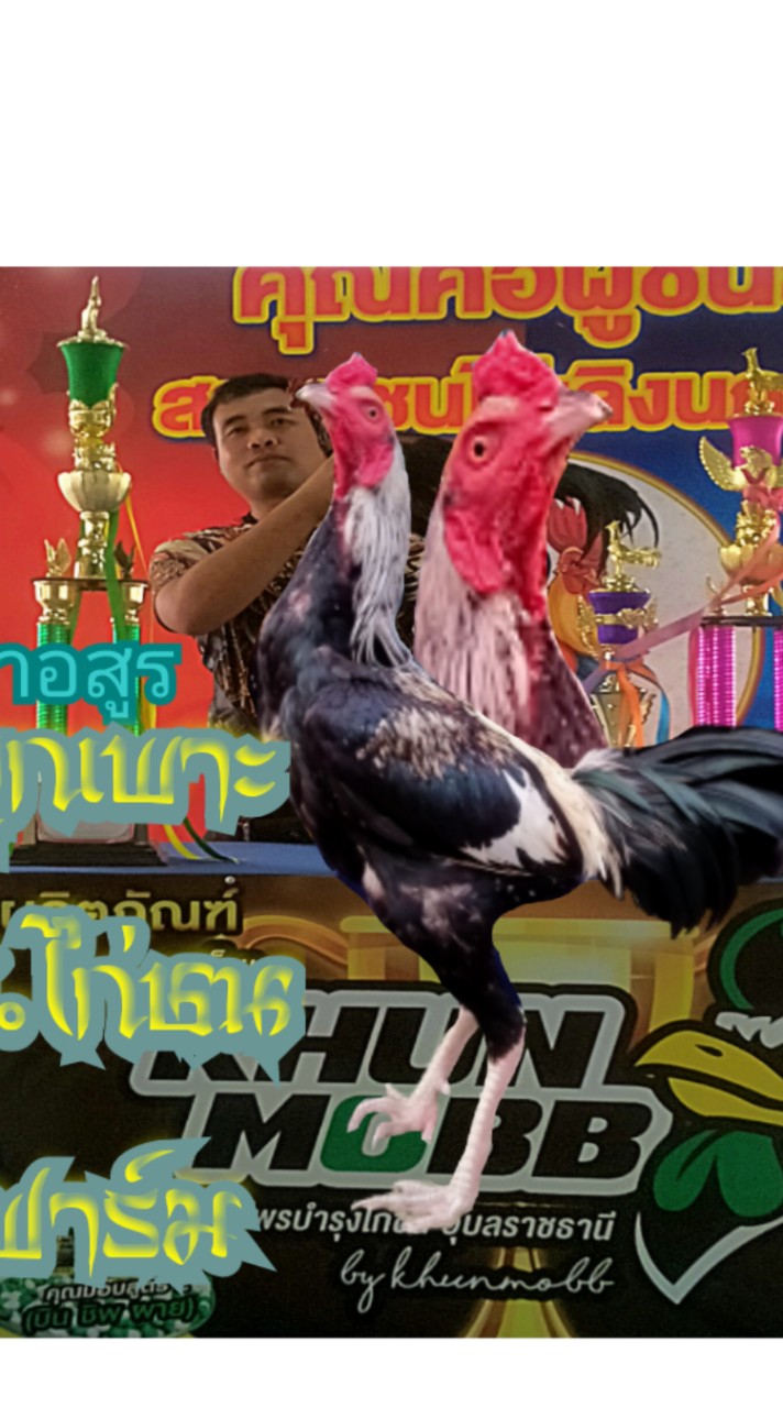 ส.ไก่ชน ฟาร์ม