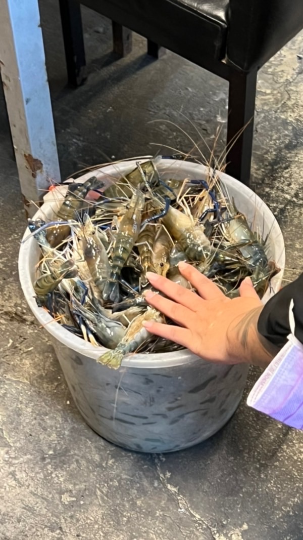 台中釣蝦🦐/釣魚🐟/交流👥/分享☀️