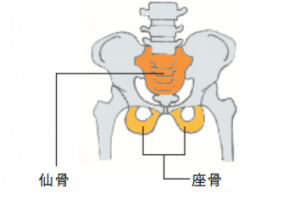 骨盤を立てて座れば 不調は治る