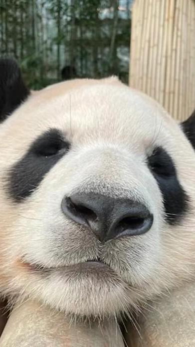 木柵動物園之旅～