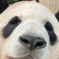 木柵動物園之旅～