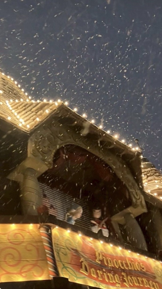 （溺愛強食：全夢也）