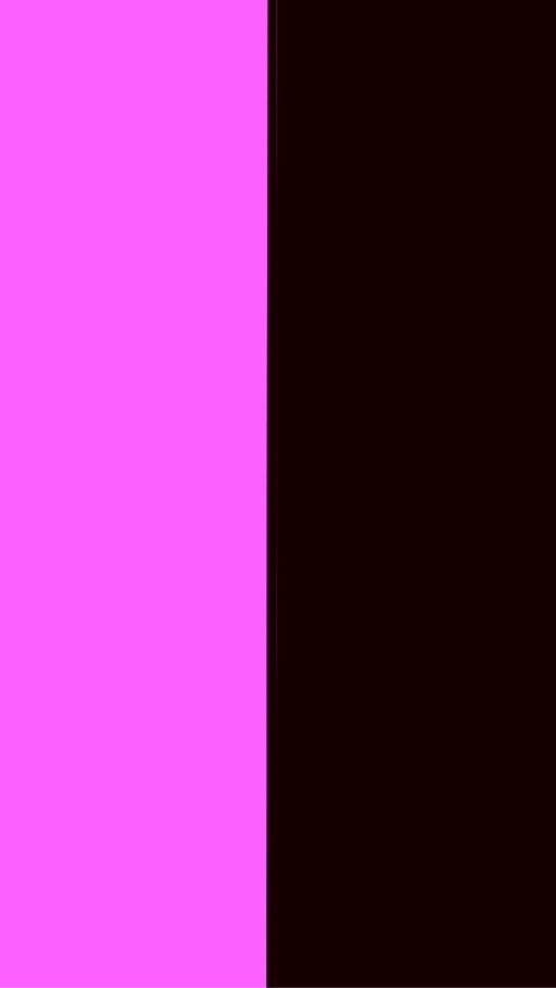 Blackpink fans