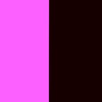Blackpink fans