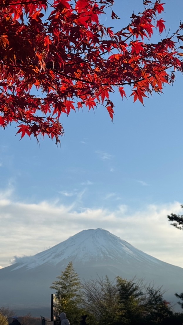 樂go 日本好好買好物代購🇯🇵4/4～4/7沖繩連線代購