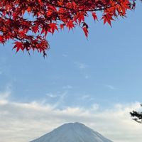 樂go 日本好好買日本代購🇯🇵12/12～12/15 大阪連線代購