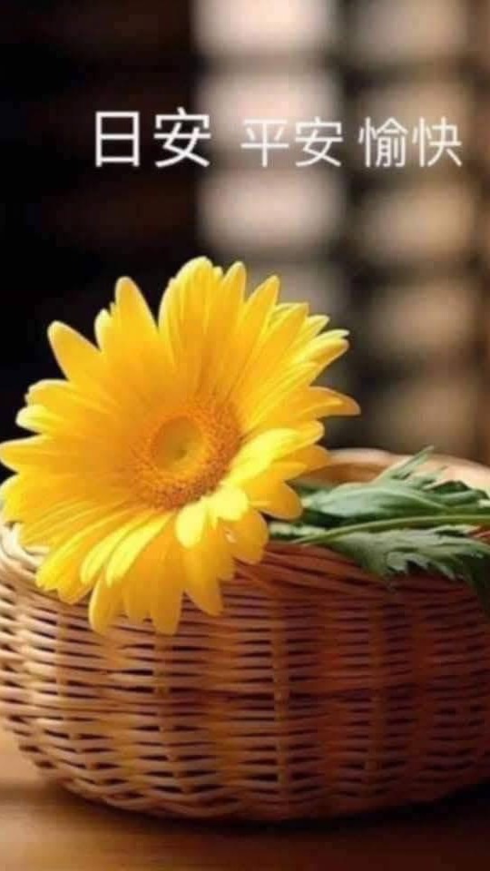 美衣：全新：二手衣柏賣