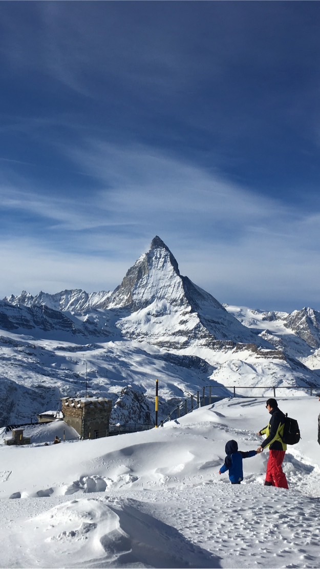 スイス留学・就職情報交換🇨🇭