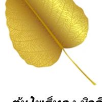 รับสมัครนักร้อง
