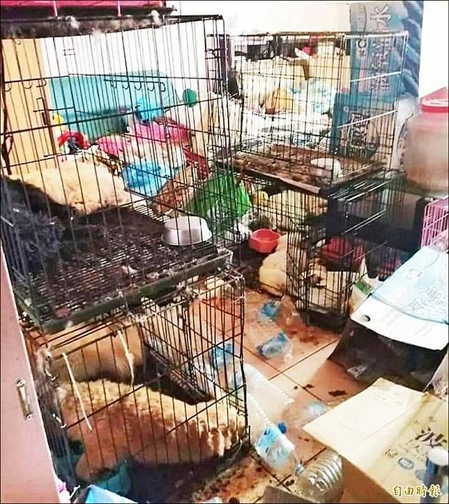 萌狗煉獄！ 18隻狗關套房活活餓死  飼主被起訴