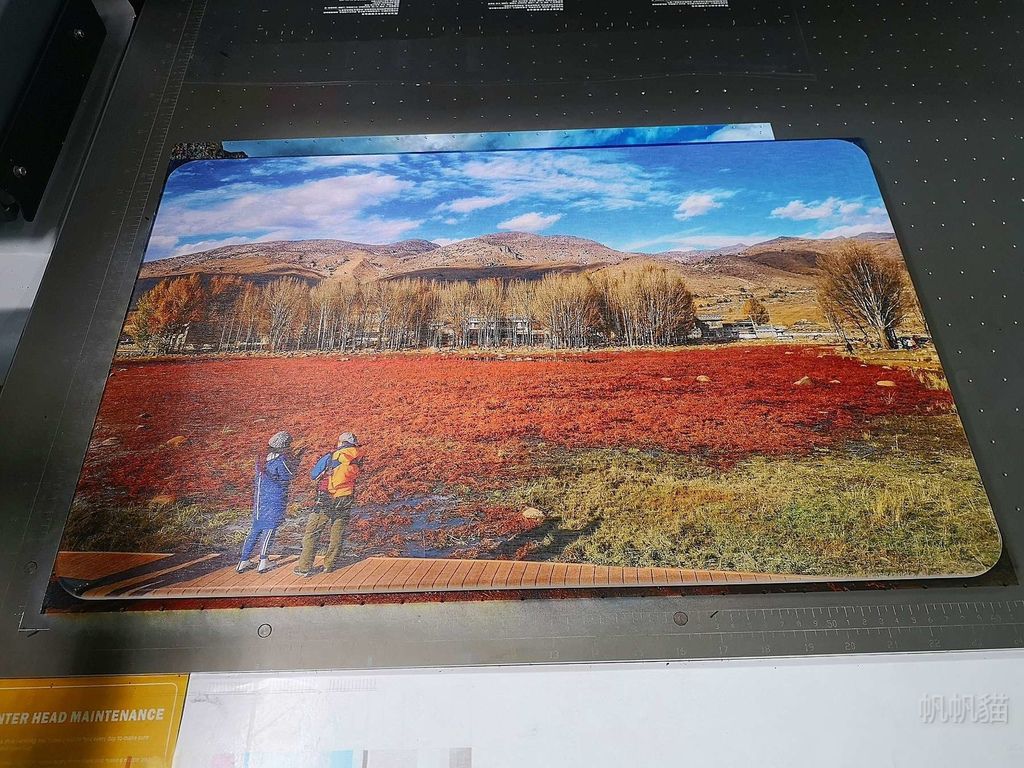 客製化稻城桑堆珪藻土地墊-UV直噴機推薦