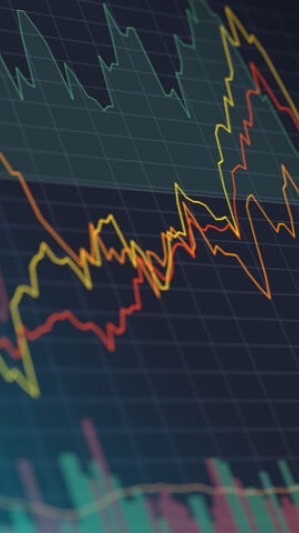 權的交易園地｜專業教學群