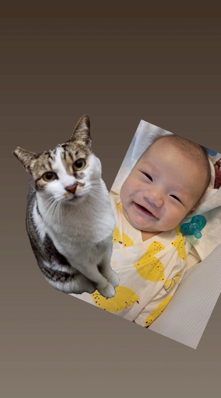 咪咕+藍莓專區
