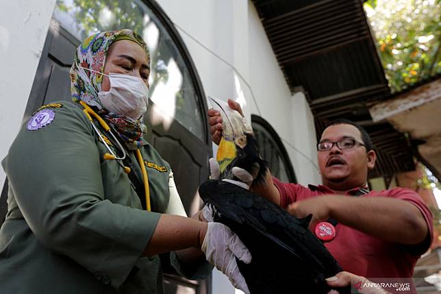 Perawatan Satwa Langka Dan Dilindungi