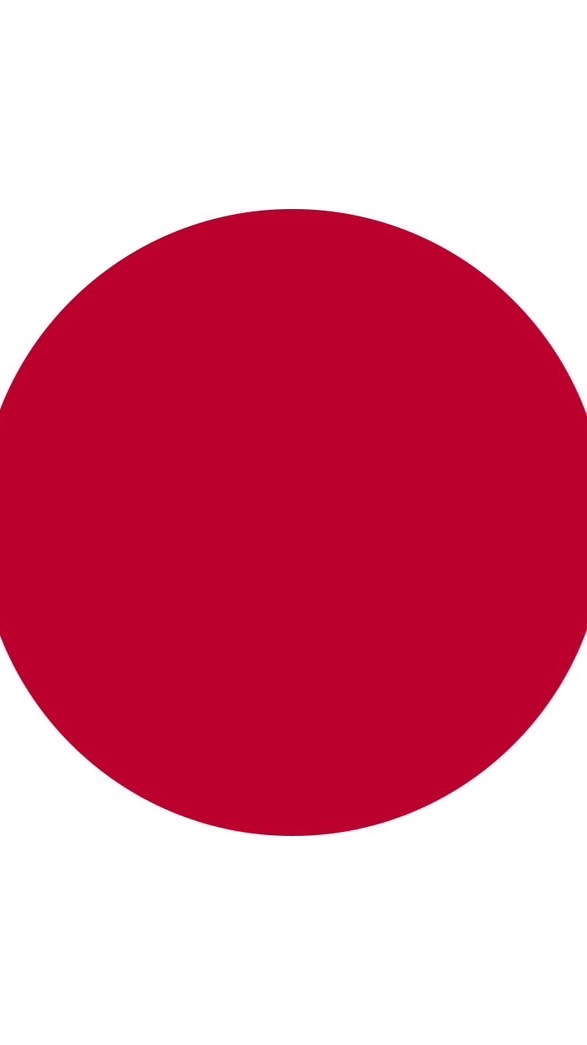日本の選択肢