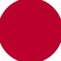 日本の選択肢