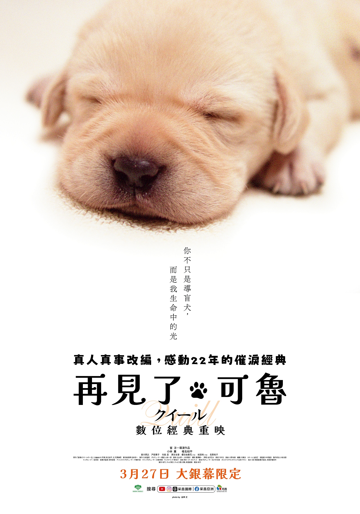 再見了，可魯(數位經典重映) Quill: The Life of a Guide Dog