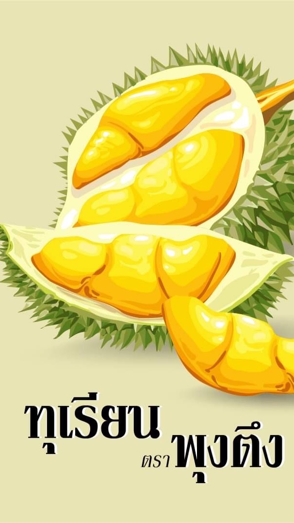 ทุเรียนหมอนทองระยอง ส่งออก เเบรนด์พุงตึง