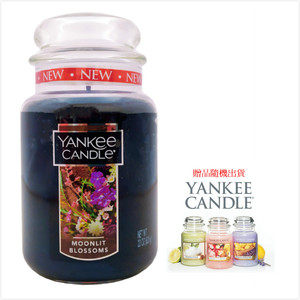 YANKEE CANDLE 香氛蠟燭-月光綻放(買623g送104g)