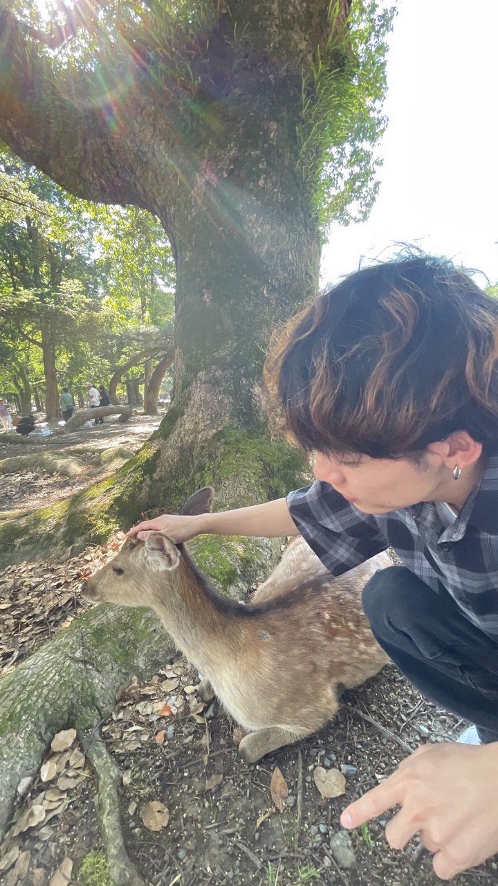 ちひろの三分クッキング