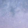 盗っていいのは盗られる覚悟のある奴だけだ【 全緩也 ハント 】【再建！】