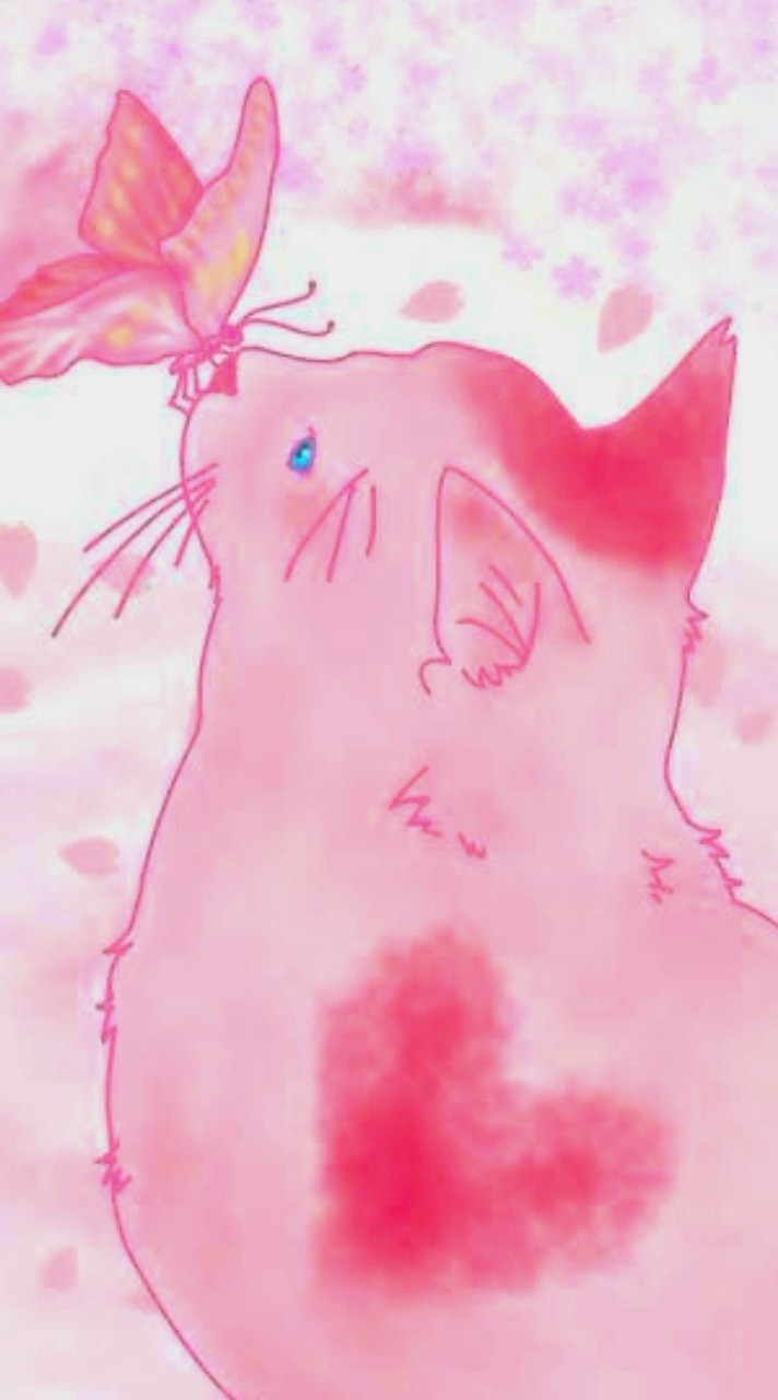 猫の縁漆