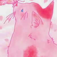 猫の縁漆