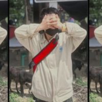 Pae