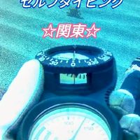 ☆関東・伊豆限定☆ダイビング友達募集☆バディーダイビング☆セルフダイビング☆