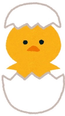 たまひよ🐤2022(R4).11月生まれ一都三県専用