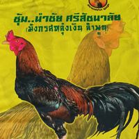 คนรักไก่ชน สารจิตร