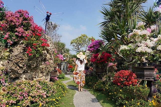 彰化田尾三處絕美九重葛花瀑 人形九重葛花田 格外逗趣 台灣旅行趣 Line Today