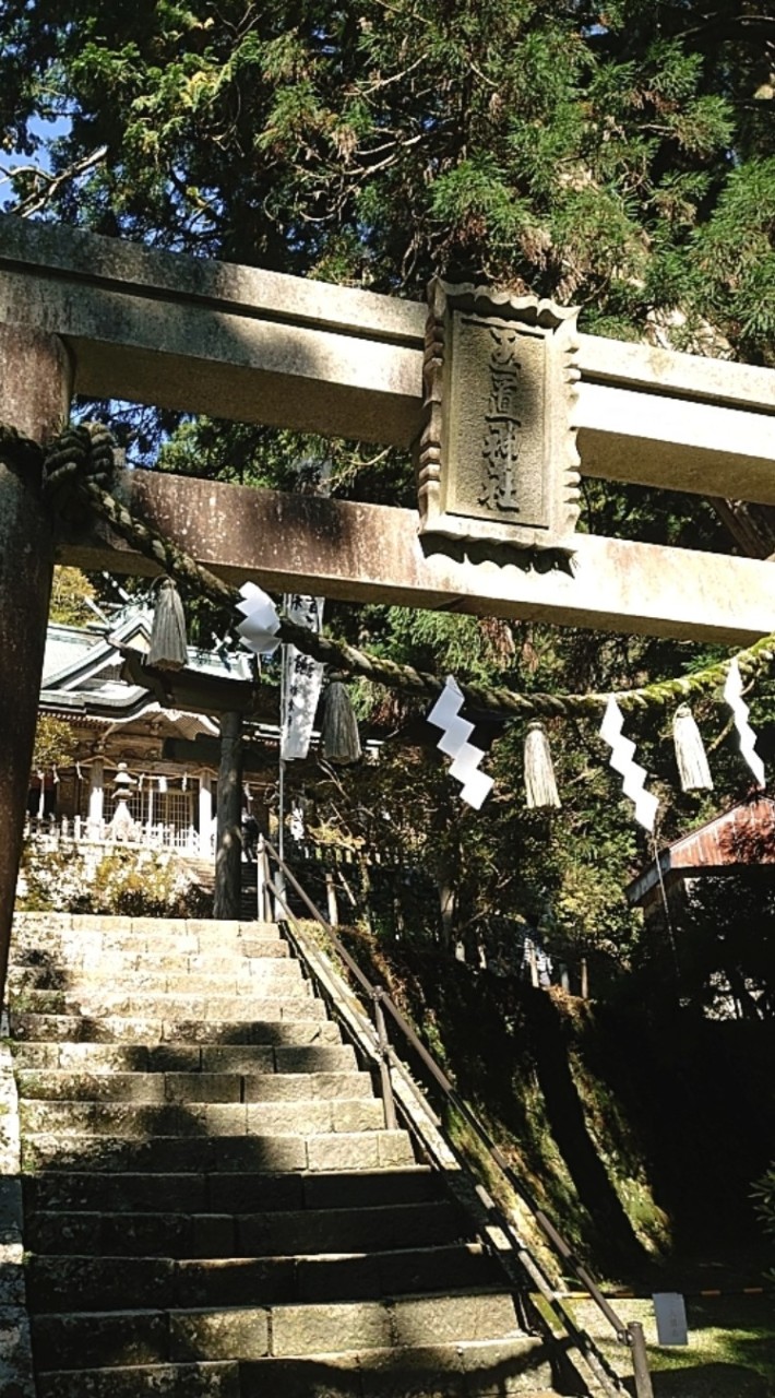 🔮お試し無料占い🔮占わせてください🙏