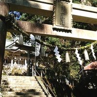 🔮お試し無料占い🔮占わせてください🙏