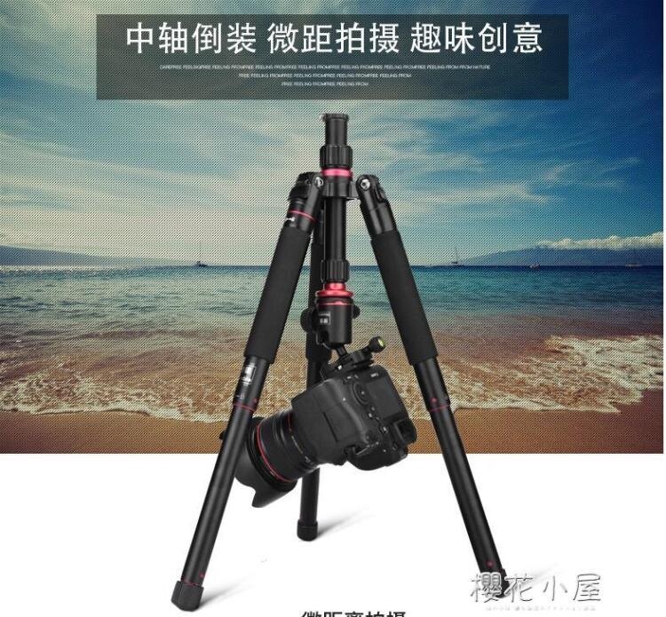 單反照相機三腳架便攜微單手機攝影抖音攝像手機直播雲臺三角支架
