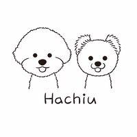 🐶Hachiu~韓國寵物代購🐶