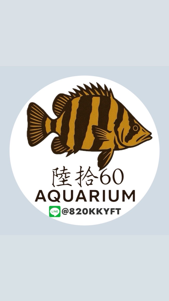 陸拾aquarium (水族、爬蟲、特寵、猛禽交流）