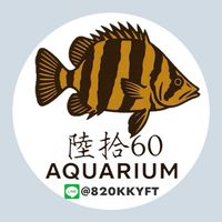 陸拾aquarium (水族、爬蟲、特寵、猛禽交流）