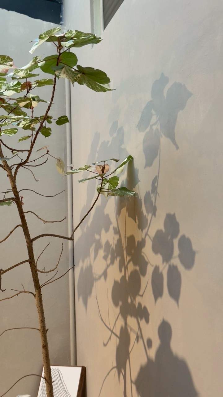 ✨45口袋倉庫✨