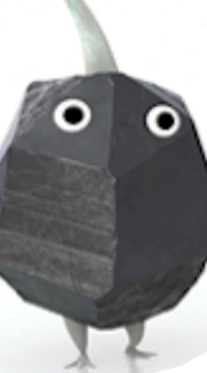 新訓-班輔