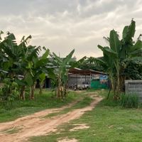 เตรียมสอบนักวิชาการเกษตร กทม.65