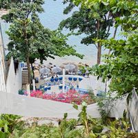 The Reef Cafe'