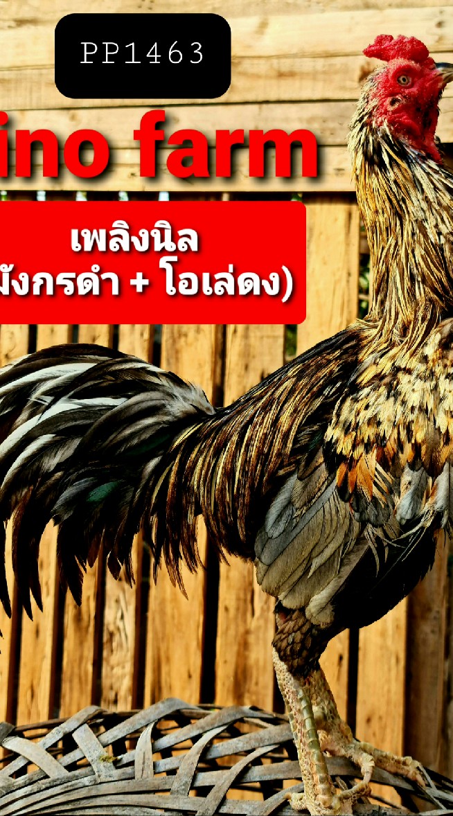 Dinofarm