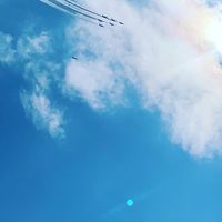 ブラックマンバEA利用者の溜まり場