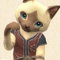 魔物獵人NOW台東